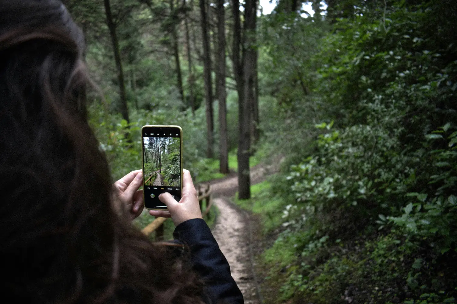 Photographier depuis un sentier