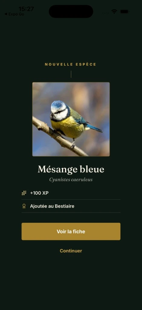 Nouvelle espèce débloquée : merle noir
