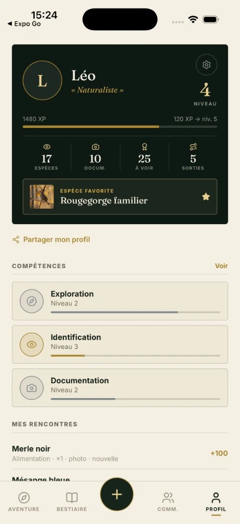 Profil et progression